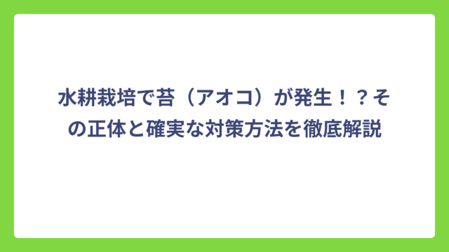 水耕栽培で苔（アオコ）が発生！？その正体と確実な対策方法を徹底解説