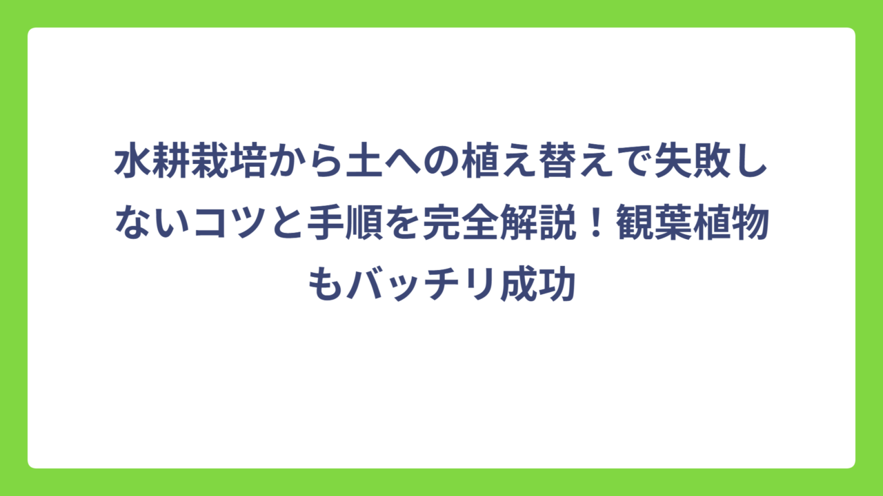 水耕栽培から土への植え替えで失敗しないコツと手順を完全解説！観葉植物もバッチリ成功