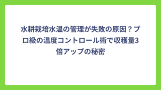 水耕栽培水温の管理が失敗の原因？プロ級の温度コントロール術で収穫量3倍アップの秘密