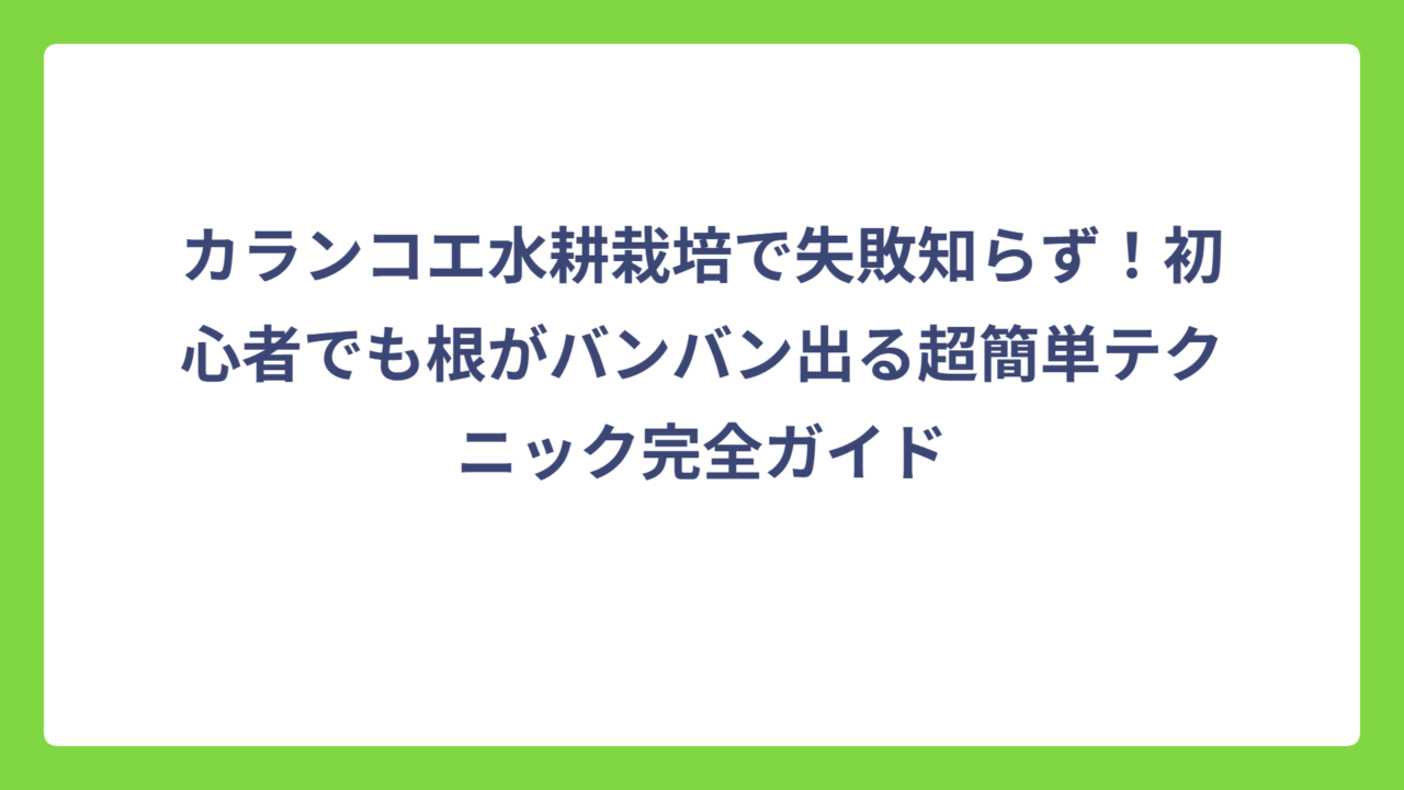 カランコエ水耕栽培で失敗知らず！初心者でも根がバンバン出る超簡単テクニック完全ガイド