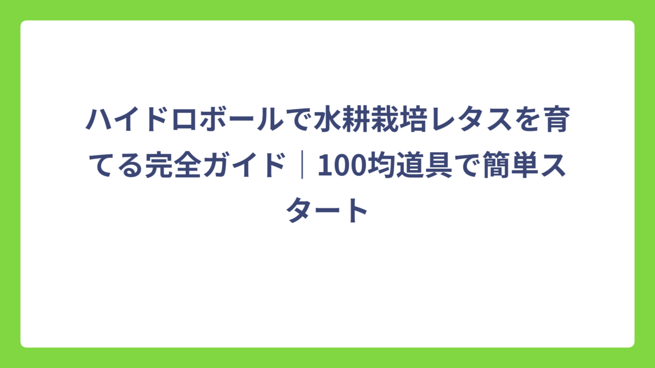 ハイドロボールで水耕栽培レタスを育てる完全ガイド｜100均道具で簡単スタート