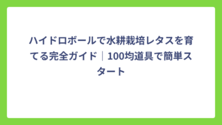 ハイドロボールで水耕栽培レタスを育てる完全ガイド｜100均道具で簡単スタート