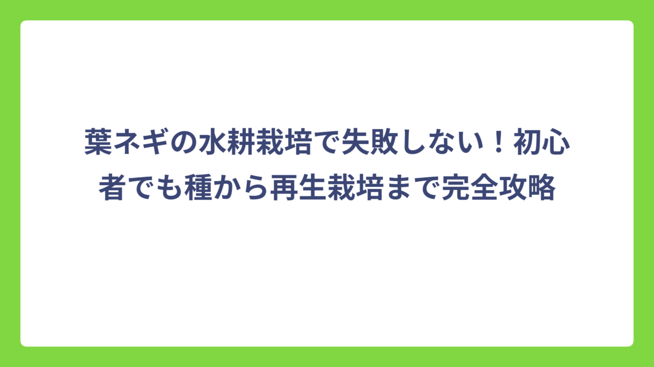 葉ネギの水耕栽培で失敗しない！初心者でも種から再生栽培まで完全攻略