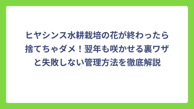 ヒヤシンス水耕栽培の花が終わったら捨てちゃダメ！翌年も咲かせる裏ワザと失敗しない管理方法を徹底解説