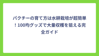 パクチーの育て方は水耕栽培が超簡単！100均グッズで大量収穫を狙える完全ガイド