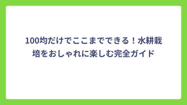 100均だけでここまでできる！水耕栽培をおしゃれに楽しむ完全ガイド