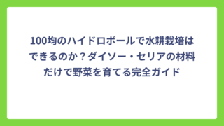 100均のハイドロボールで水耕栽培はできるのか？ダイソー・セリアの材料だけで野菜を育てる完全ガイド
