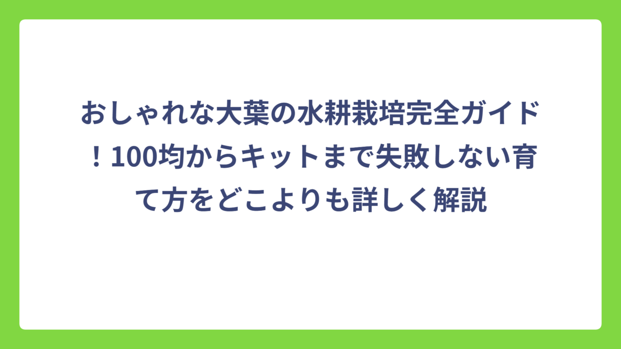 おしゃれな大葉の水耕栽培完全ガイド！100均からキットまで失敗しない育て方をどこよりも詳しく解説