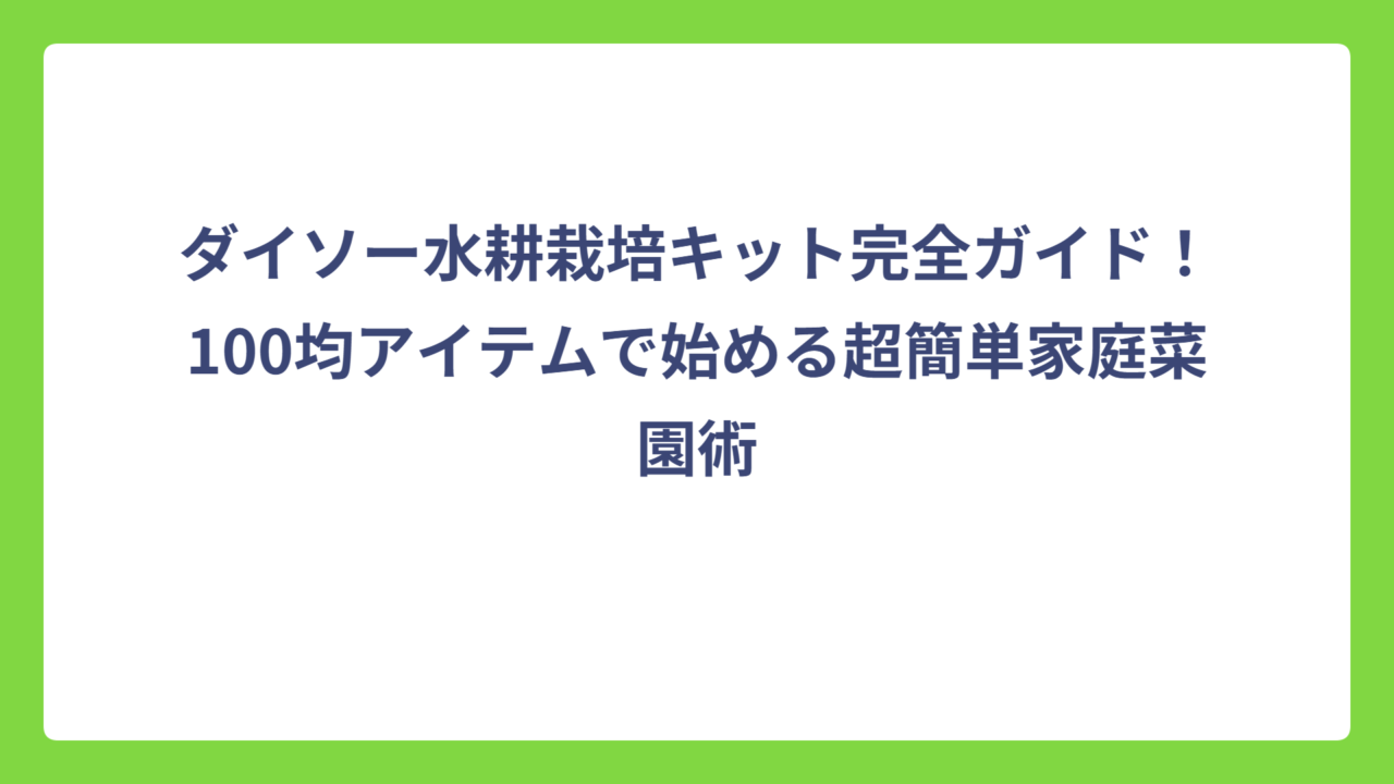 ダイソー水耕栽培キット完全ガイド！100均アイテムで始める超簡単家庭菜園術