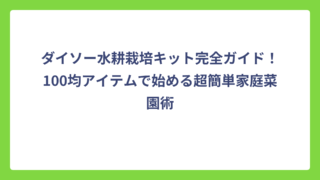 ダイソー水耕栽培キット完全ガイド！100均アイテムで始める超簡単家庭菜園術