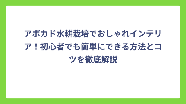 アボカド水耕栽培でおしゃれインテリア！初心者でも簡単にできる方法とコツを徹底解説