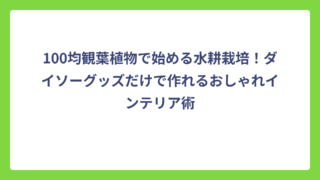 100均観葉植物で始める水耕栽培！ダイソーグッズだけで作れるおしゃれインテリア術