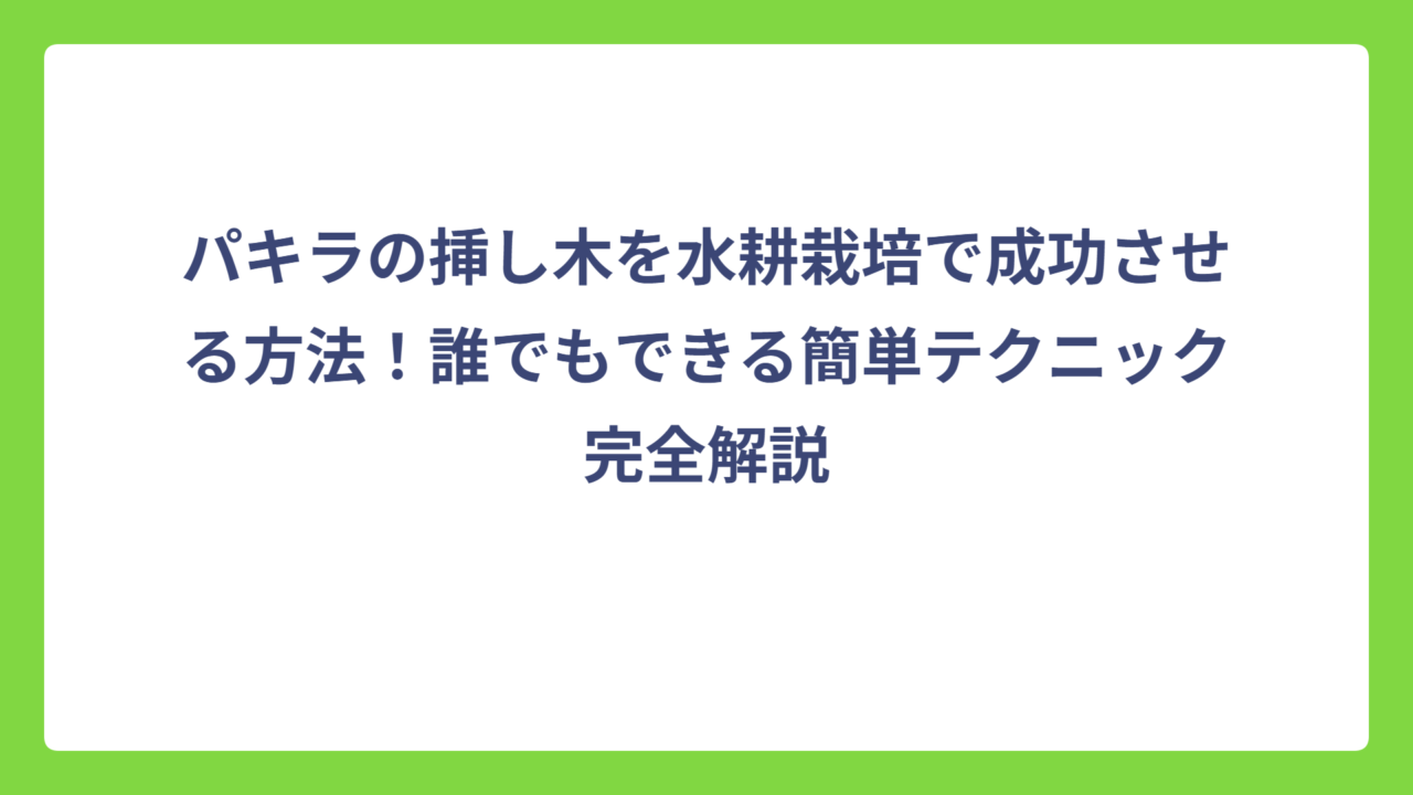 パキラの挿し木を水耕栽培で成功させる方法！誰でもできる簡単テクニック完全解説