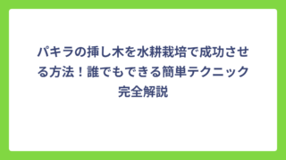 パキラの挿し木を水耕栽培で成功させる方法！誰でもできる簡単テクニック完全解説