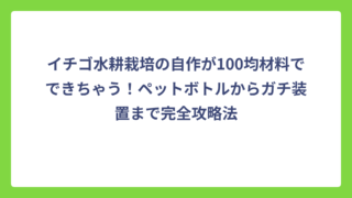 イチゴ水耕栽培の自作が100均材料でできちゃう！ペットボトルからガチ装置まで完全攻略法