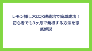 レモン挿し木は水耕栽培で簡単成功！初心者でも3ヶ月で発根する方法を徹底解説