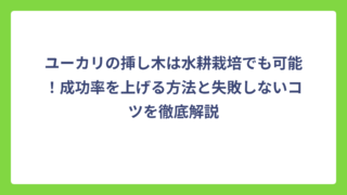 ユーカリの挿し木は水耕栽培でも可能！成功率を上げる方法と失敗しないコツを徹底解説