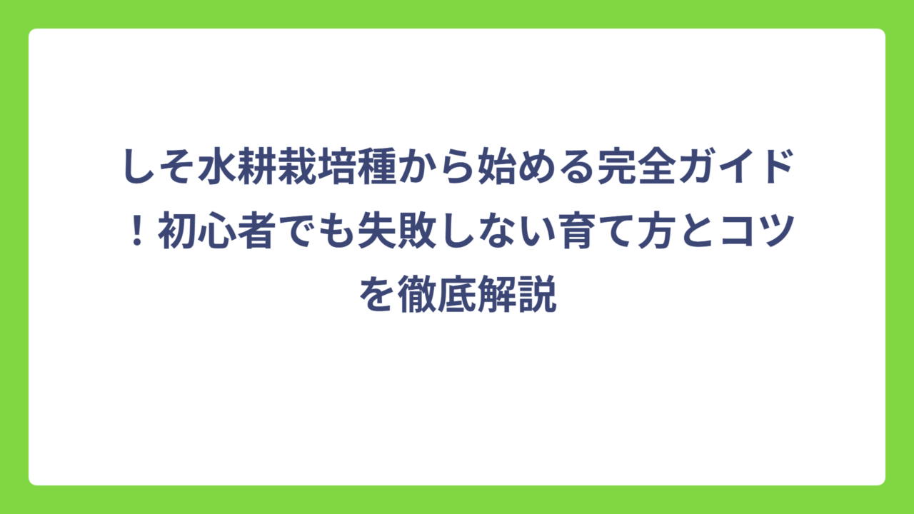しそ水耕栽培種から始める完全ガイド！初心者でも失敗しない育て方とコツを徹底解説