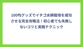100均グッズでイチゴ水耕栽培を成功させる完全攻略法！初心者でも失敗しないコツと実践テクニック