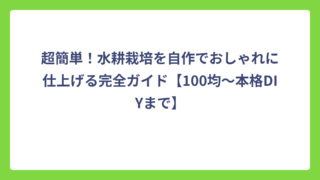 超簡単！水耕栽培を自作でおしゃれに仕上げる完全ガイド【100均〜本格DIYまで】