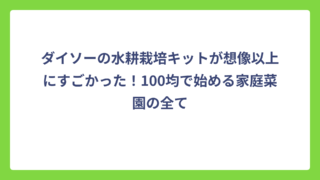 ダイソーの水耕栽培キットが想像以上にすごかった！100均で始める家庭菜園の全て