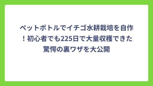 ペットボトルでイチゴ水耕栽培を自作！初心者でも225日で大量収穫できた驚愕の裏ワザを大公開