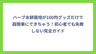 ハーブ水耕栽培が100均グッズだけで超簡単にできちゃう！初心者でも失敗しない完全ガイド