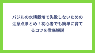 バジルの水耕栽培で失敗しないための注意点まとめ！初心者でも簡単に育てるコツを徹底解説