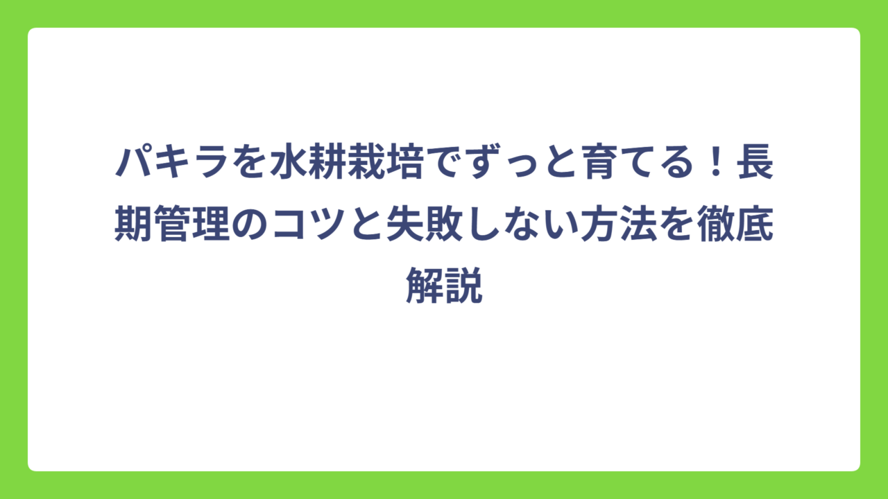 パキラを水耕栽培でずっと育てる！長期管理のコツと失敗しない方法を徹底解説