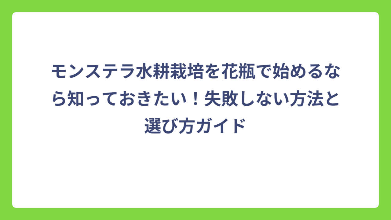 モンステラ水耕栽培を花瓶で始めるなら知っておきたい！失敗しない方法と選び方ガイド