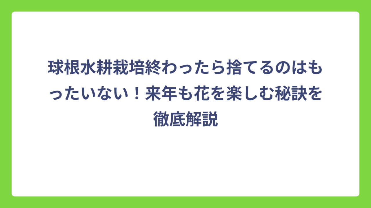球根水耕栽培終わったら捨てるのはもったいない！来年も花を楽しむ秘訣を徹底解説
