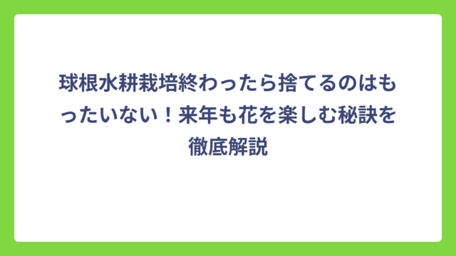 球根水耕栽培終わったら捨てるのはもったいない！来年も花を楽しむ秘訣を徹底解説