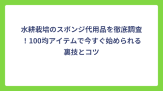 水耕栽培のスポンジ代用品を徹底調査！100均アイテムで今すぐ始められる裏技とコツ
