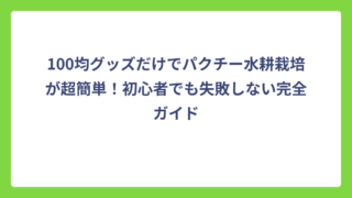 100均グッズだけでパクチー水耕栽培が超簡単！初心者でも失敗しない完全ガイド