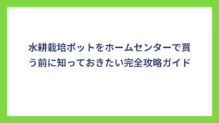 水耕栽培ポットをホームセンターで買う前に知っておきたい完全攻略ガイド