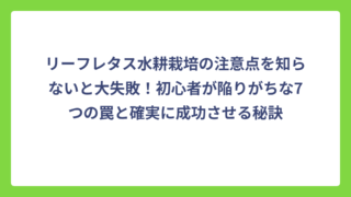 リーフレタス水耕栽培の注意点を知らないと大失敗！初心者が陥りがちな7つの罠と確実に成功させる秘訣