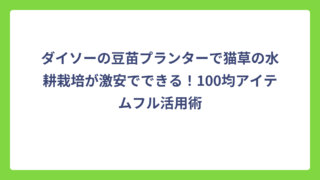 ダイソーの豆苗プランターで猫草の水耕栽培が激安でできる！100均アイテムフル活用術