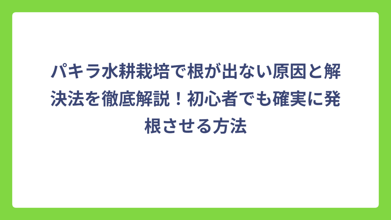 パキラ水耕栽培で根が出ない原因と解決法を徹底解説！初心者でも確実に発根させる方法