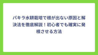 パキラ水耕栽培で根が出ない原因と解決法を徹底解説！初心者でも確実に発根させる方法