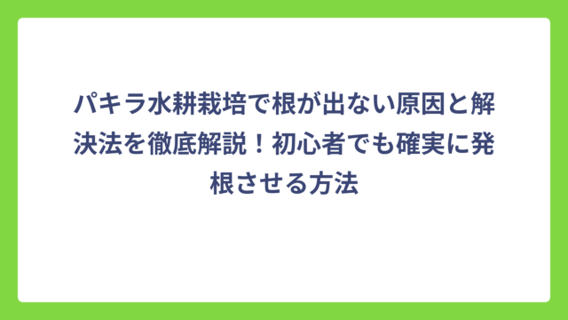 パキラ水耕栽培で根が出ない原因と解決法を徹底解説！初心者でも確実に発根させる方法