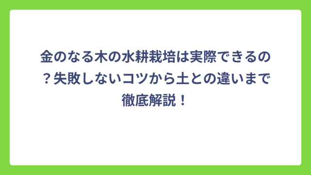金のなる木の水耕栽培は実際できるの？失敗しないコツから土との違いまで徹底解説！
