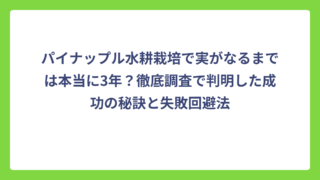 パイナップル水耕栽培で実がなるまでは本当に3年？徹底調査で判明した成功の秘訣と失敗回避法