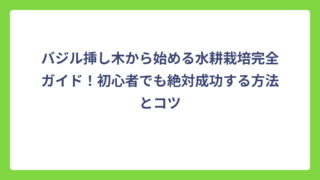 バジル挿し木から始める水耕栽培完全ガイド！初心者でも絶対成功する方法とコツ