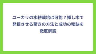 ユーカリの水耕栽培は可能？挿し木で発根させる驚きの方法と成功の秘訣を徹底解説