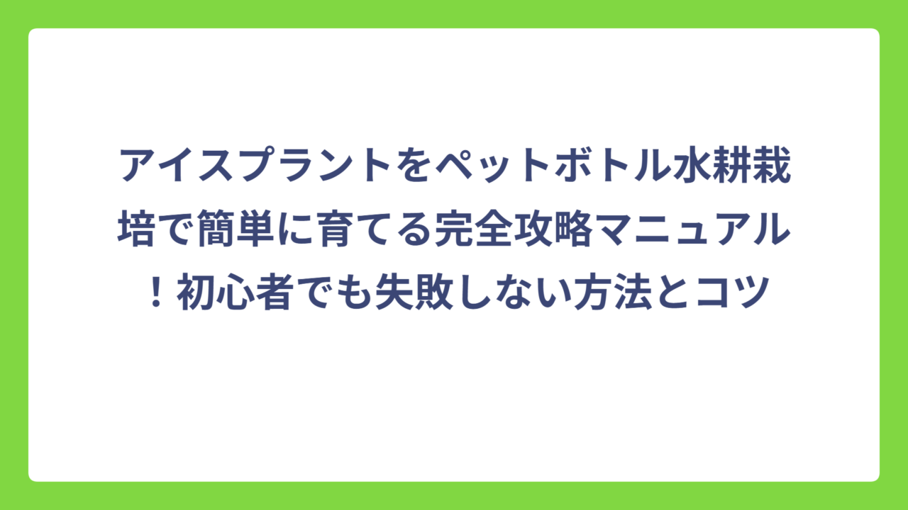 アイスプラントをペットボトル水耕栽培で簡単に育てる完全攻略マニュアル！初心者でも失敗しない方法とコツ