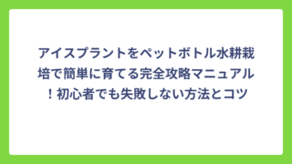 アイスプラントをペットボトル水耕栽培で簡単に育てる完全攻略マニュアル！初心者でも失敗しない方法とコツ