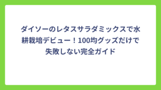 ダイソーのレタスサラダミックスで水耕栽培デビュー！100均グッズだけで失敗しない完全ガイド