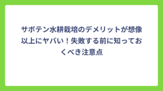 サボテン水耕栽培のデメリットが想像以上にヤバい！失敗する前に知っておくべき注意点