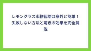 レモングラス水耕栽培は意外と簡単！失敗しない方法と驚きの効果を完全解説