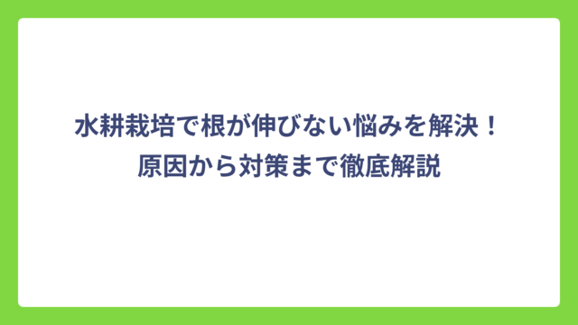 水耕栽培で根が伸びない悩みを解決！原因から対策まで徹底解説